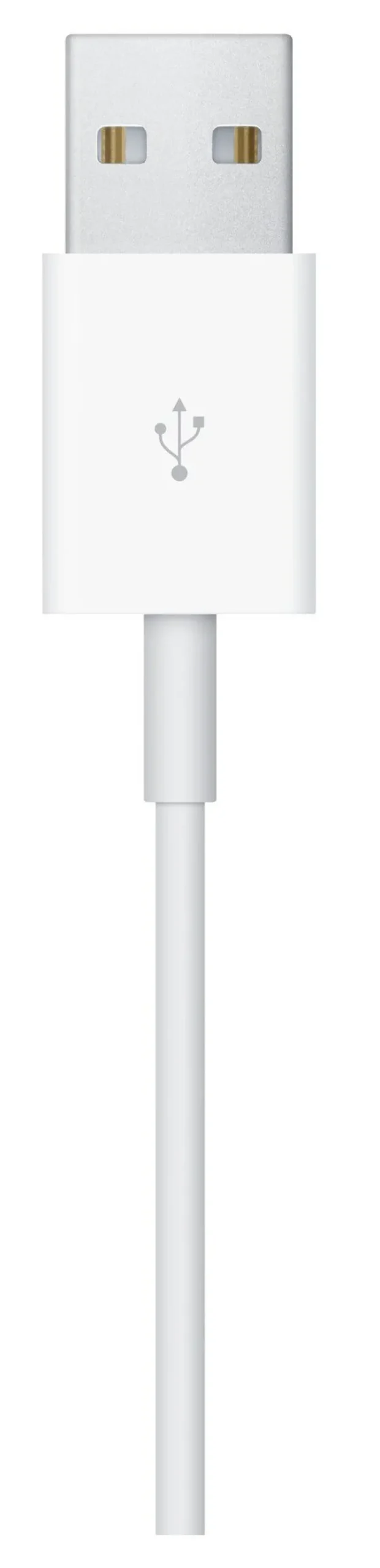 Apple Cavo Magnetico Ricarica Apple Watch 1m – MagSafe a induzione facile e sicura