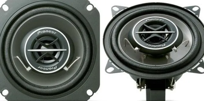 Pioneer TS-1002i