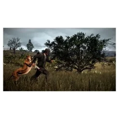 Red Dead Redemption 2 PS4