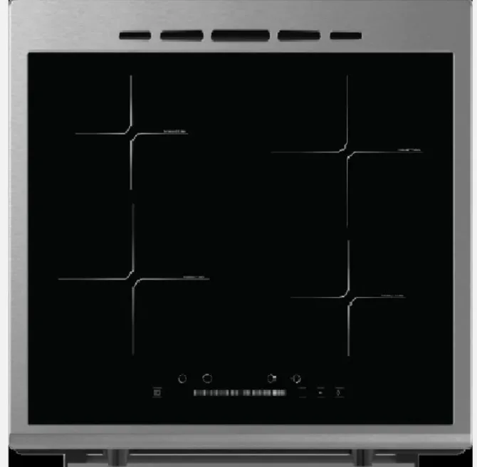 Schaub Lorenz Cucina 60x60 Inox Induzione Elettrica SS640INEX