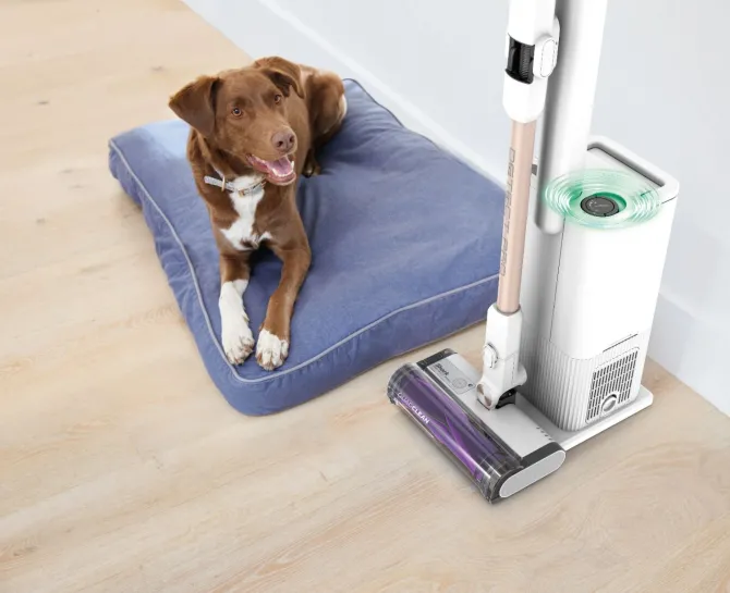 SHARK - ASPIRAPOLVERE SENZA FILO DETECT PRO AUTOSVUOTAMENT - bianco/rosa