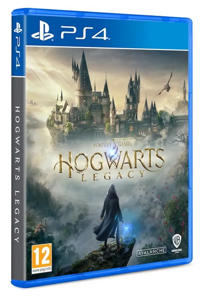 Warner Bros Hogwarts Legacy Standard PlayStation 4