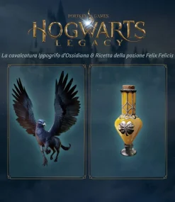 Warner Bros Hogwarts Legacy Standard PlayStation 5