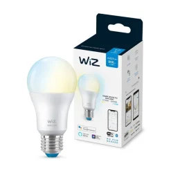 WiZ Lampadina A60 E27